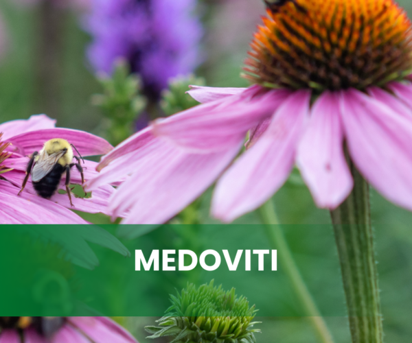 projekti EKSRP LAS_web slika (960 x 960 pik)