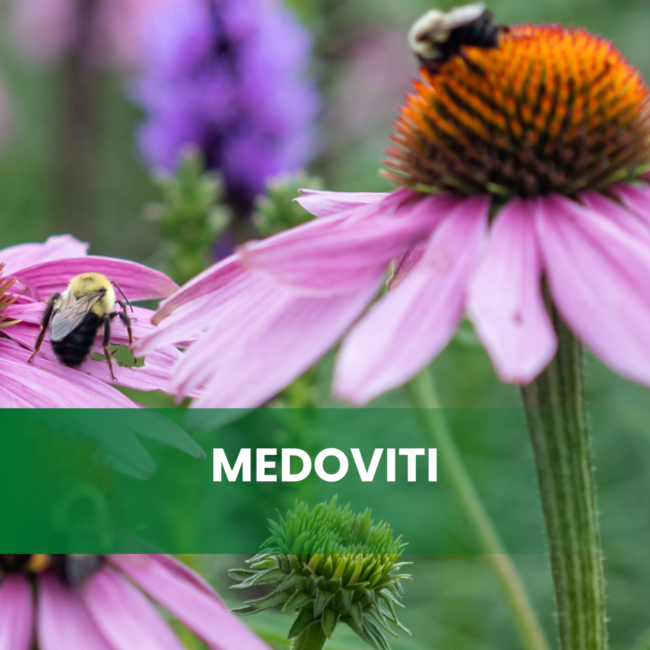 projekti EKSRP LAS_web slika (960 x 960 pik)